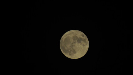 Obraz premium moon in the night sky