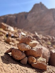 Balance in the Wilderness