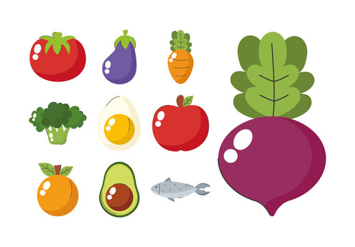 Colorful Healthy Food Elements Illustration Set