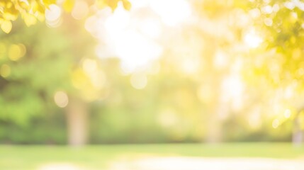 Obraz premium Tranquil forest bathed in soft sunlight, earthy tones blending harmoniously, evoking peace and natural serenity.