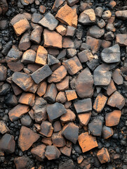 Broken pottery fragments, dark soil