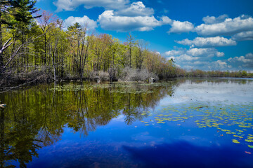 Beautiful view of blue skies and calm waters of Mud Lake - prime resting spot for Migratory birds and habitat for large number of species in the Britannia Conservation Area,Ottawa,Ontario,Canada