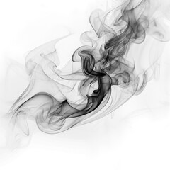 Fototapeta premium black smoke or fog isolated on white background. 