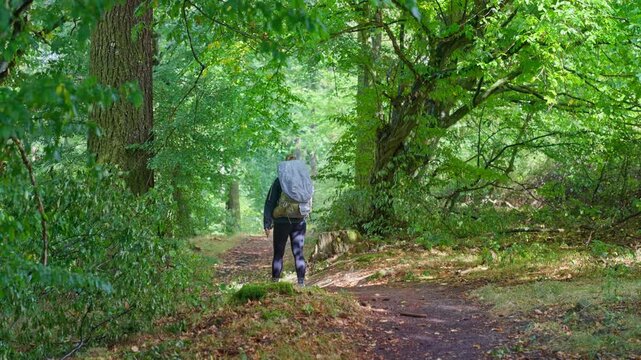 One adult person with backpack hiking on dense green forest mountain trail with tracking movement