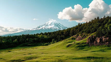 Obraz premium A majestic snow capped mountain towers over a verdant landscape