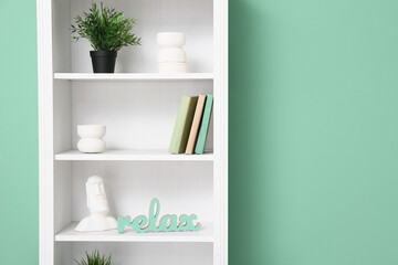 Shelf unit with books, plant and decor near green wall