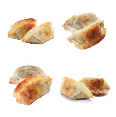 Tasty roasted gyoza (dumplings) on white background, collage