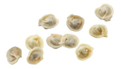 Tasty boiled dumplings (pelmeni) in air on white background