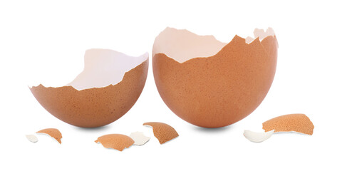 Pieces of brown cracked egg shell on white background