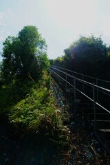 Obraz premium Schody prowadzące na górę. Betonowe schody i metalowa, solidna poręcz.