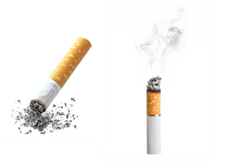 Burning and Extinguished Cigarette with Smoke and Ash, Anti-Smoking Concept, Transparent Background