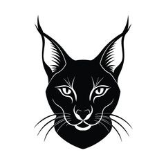 vector illustration of  caracal