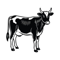 vector illustration of a cow