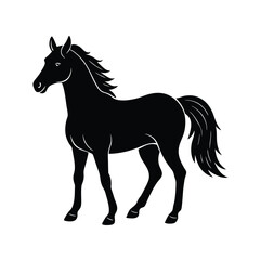 horse vector illustration