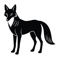 maned wolf vector illustration