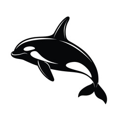 Fototapeta premium orca-killer whale vector illustration 
