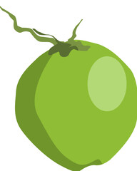 Tropical Coconut with Husk