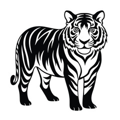 tiger vector illustration