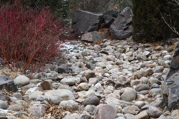 Rocky landscape with colorful bushes.
