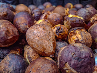 Close-Up Shot of a Pile of Brown and Dark Brown Avocado Seeds, Ripe and Ready for Planting or Processing