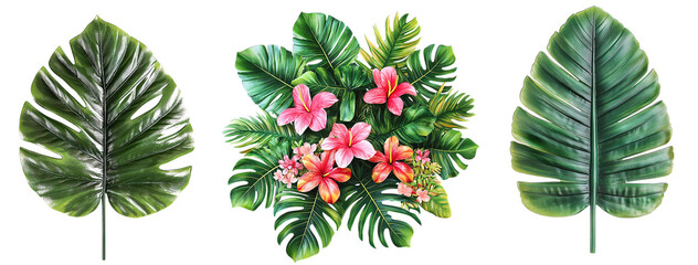 Obraz premium green leaves isolated on white