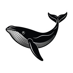 vector illustration of a Whale