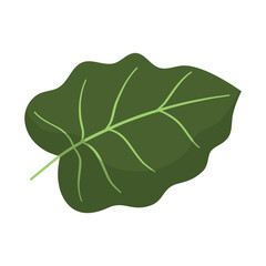 Naklejka premium Green tropical leaf