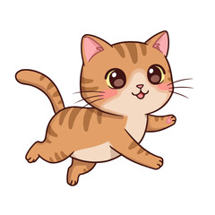 Obraz premium Cute Cat