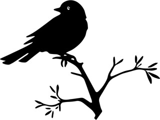 bird on a branch