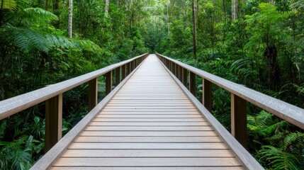 A wooden boardwalk stretches through lush greenery, inviting exploration in a serene forest setting.