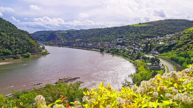 Rhine River bending by the small medieval village of Oberwesel with colorful flowers in the foreground on a sunny summer day, Germany