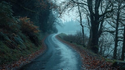Fototapeta premium Misty Autumn Road Winding Through a Forest