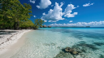 A beautiful beach with clear blue water and a few palm trees