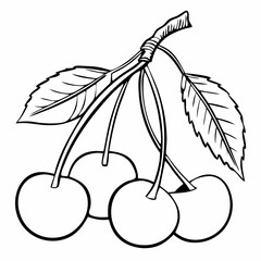vector illustration of cherries Fruit of Summer, Exploring the World of Cherries, The Journey of the Cherry, Fruit Cherries Are the Ultimate Seasonal Fruit