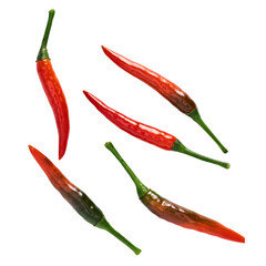 red chili peppers isolated on transparent background
