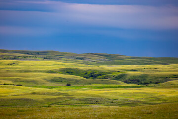 Fototapeta premium Alberta Badlands