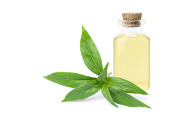 Andrographis paniculata oil isolated
