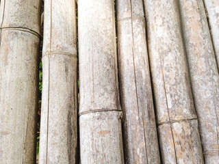 Bamboo fence abstract background. Bamboo texture background