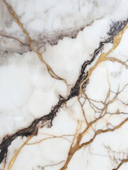 Elegant marble surface with intricate golden veins and dark patterns, ideal for design projects