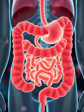 Fecal microbiota transplant from healthy in unhealthy intestine, FMT. Improvement intestinal microflora and normalization stool by introducing beneficial bacteria in bowel colon tract. Vector