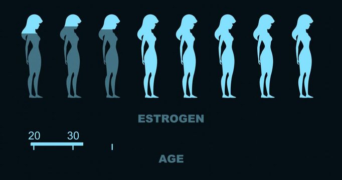Human age scale and women silhouettes with estrogen level. The measuring progress bar. Dependence of estrogen levels on age.