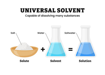 Solubility vector illustration or universal solvent. Labeled educational solute, solvent and solution. Solution formation with salt, water, saltwater Chemistry. Homogeneous mixture of solute dissolved