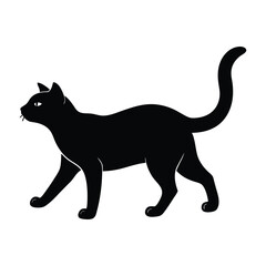 Cat Walking Mid-Step with Tail Raised in Motion