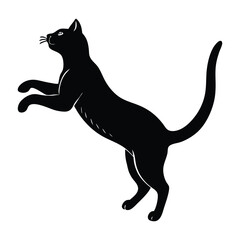 Cat Jumping onto a High Surface with Extended Legs in Silhouette