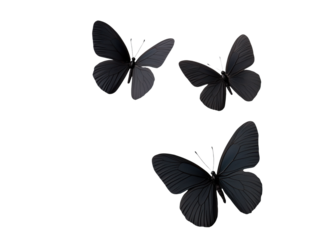 Enchanting Dance of Black Butterflies: Nature's Symbols of Freedom and Beauty Soaring Among Flowers