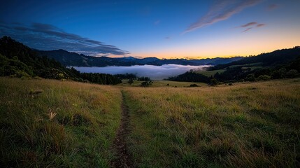 Vast Field of Tall Grass Under Bright Blue Sky Evoking Peaceful Nature