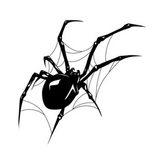 spider on a white background vector