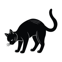 Obraz premium Curious Cat Sniffing the Ground with Head Lowered in Silhouette