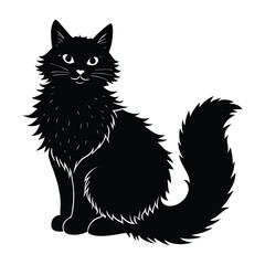 Fluffy Cat Sitting with Bushy Tail Wrapped in Silhouette