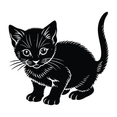 Kitten Crouching Low, Ready to Pounce in Silhouette